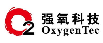 數字內容制作服務 迎接開始與結束的藝術